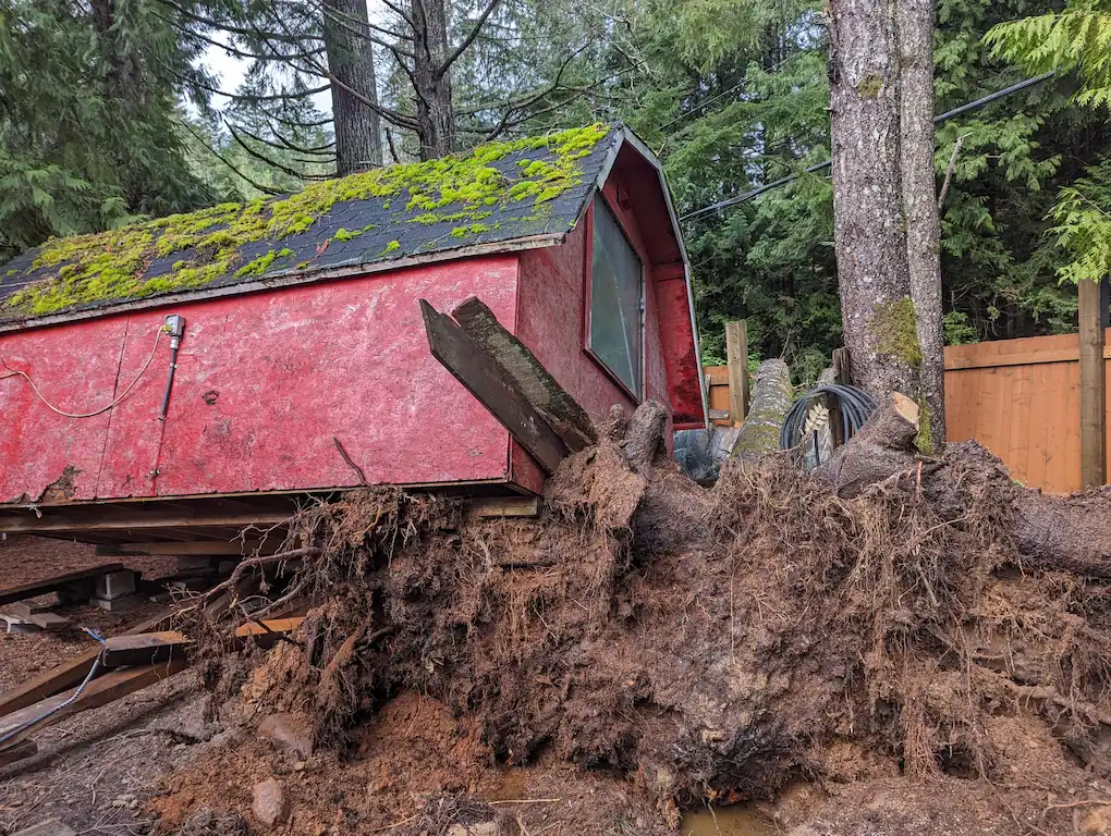 HWTC emergency tree service nanainmo tree fallen on building