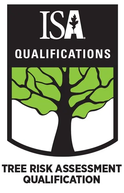 Holly Wood Tree Co. Limited photo 2