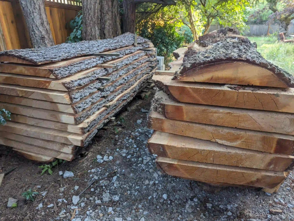 Milled live edge planks curing