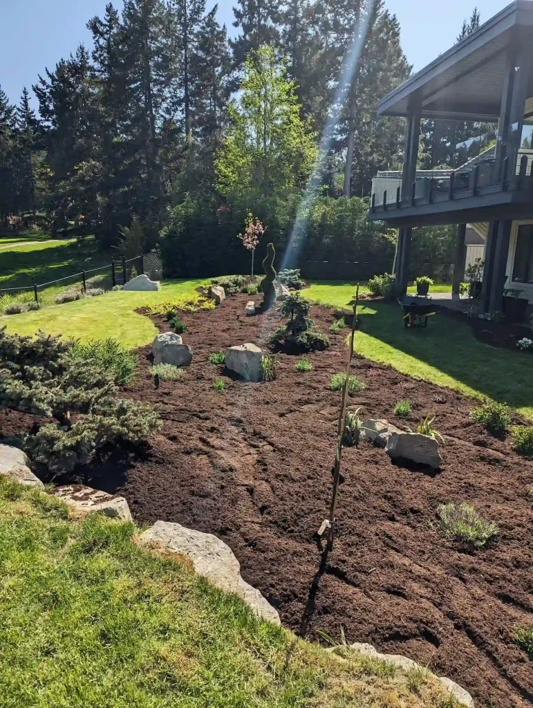 holly wood tree co shed landscaping design nanaimo