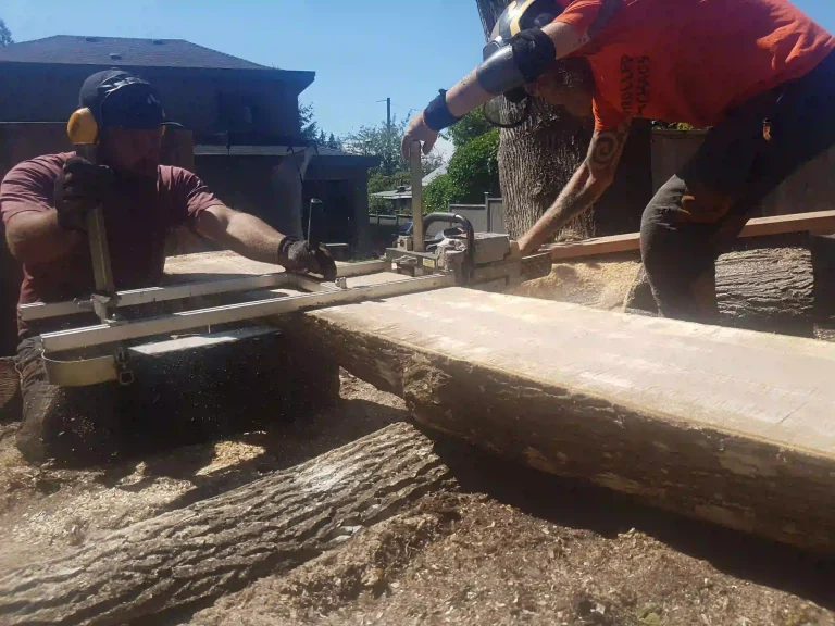 Milling a tree into live edge planks using a mobile chainsaw mill