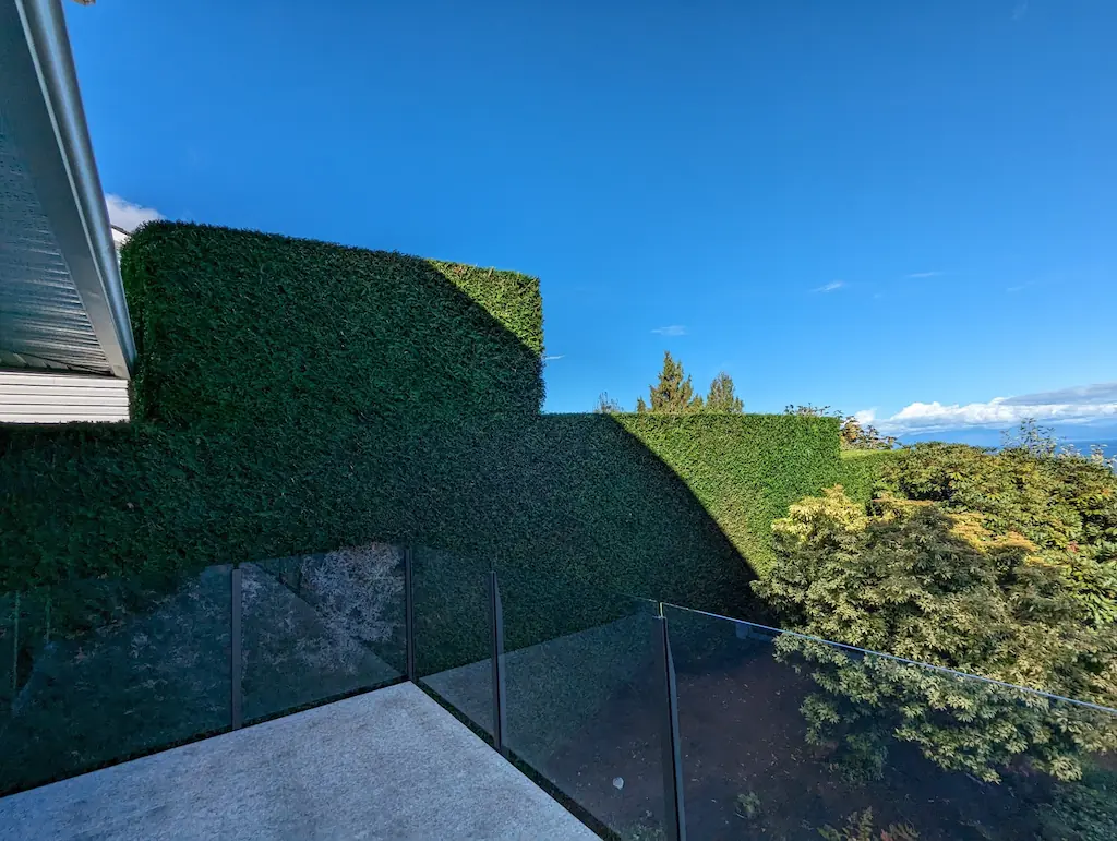 nanaimo hedge trimming 5