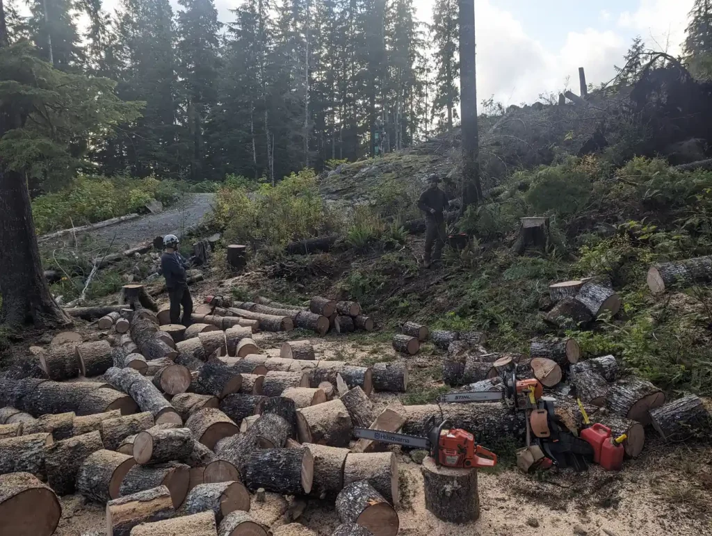 nanaimo tree removal cutting multiple trees