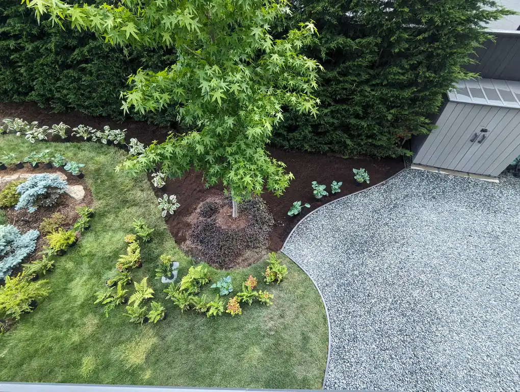 nanaimo yard garden design drought and deer resistant plants and garden beds