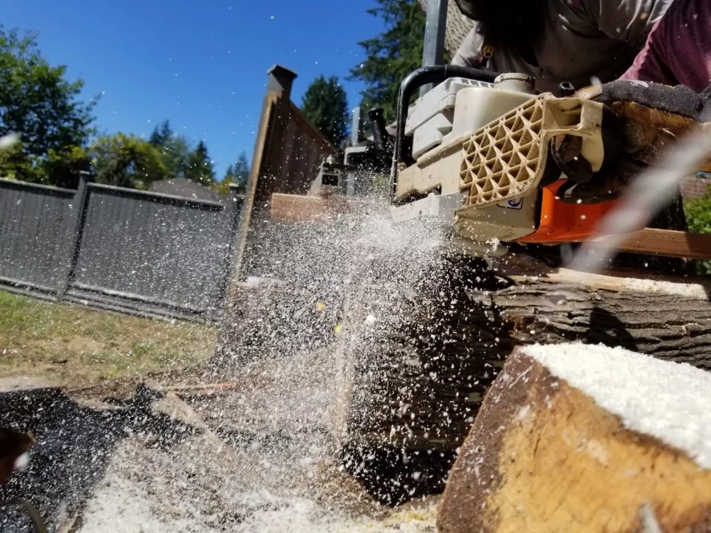 tree removal cutting